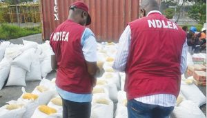 NDLEA Officers